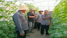 Kegiatan Ngaji Tani Hortikultura yang digelar LPPNU PCNU Lamongan di lahan hortikultura Desa Banjarwati, Kecamatan Paciran, Sabtu (31/10/2026). ( Foto Ho/RadarBangsa.co.id)